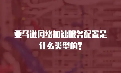 亚马逊网络加速服务配置是什么类型的?