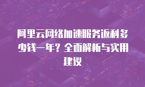 阿里云网络加速服务返利多少钱一年？全面解析与实用建议