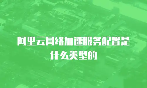 阿里云网络加速服务配置是什么类型的