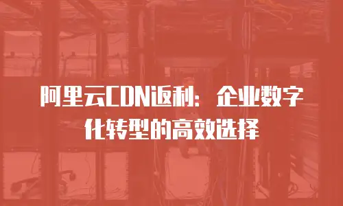 阿里云CDN返利：企业数字化转型的高效选择