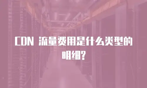  CDN 流量费用是什么类型的明细?