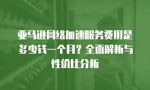 亚马逊网络加速服务费用是多少钱一个月？全面解析与性价比分析
