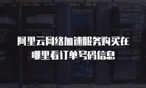 阿里云网络加速服务购买在哪里看订单号码信息