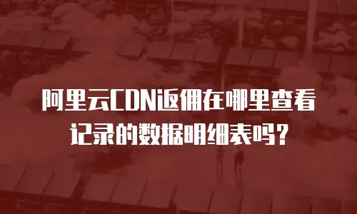 阿里云CDN返佣在哪里查看记录的数据明细表吗？