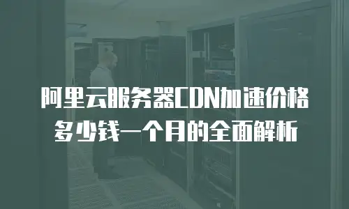 阿里云服务器CDN加速价格多少钱一个月的全面解析