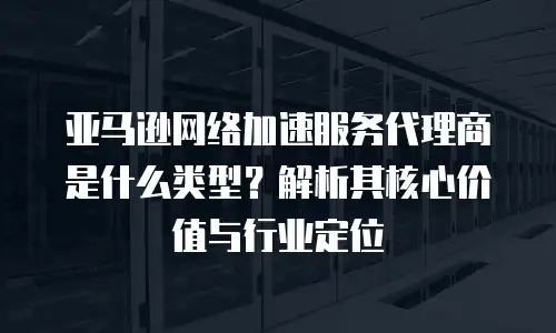 亚马逊网络加速服务代理商是什么类型？解析其核心价值与行业定位