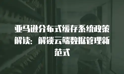 亚马逊分布式缓存系统政策解读：解锁云端数据管理新范式