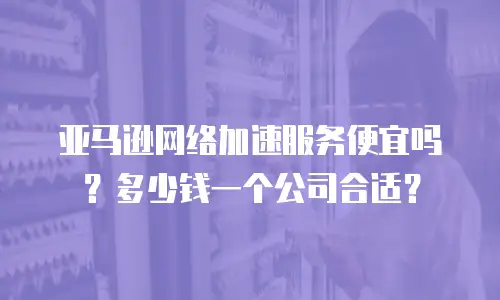 亚马逊网络加速服务便宜吗？多少钱一个公司合适？