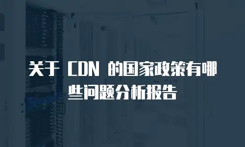 关于 CDN 的国家政策有哪些问题分析报告