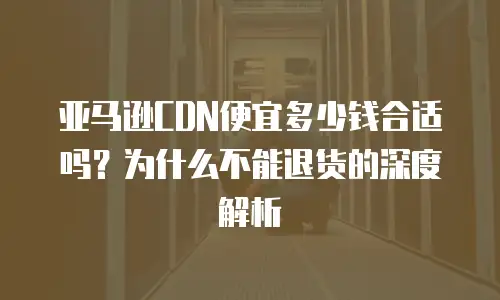 亚马逊CDN便宜多少钱合适吗？为什么不能退货的深度解析