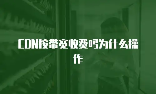 CDN按带宽收费吗为什么操作