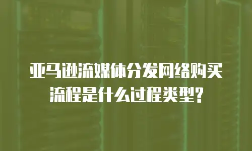 亚马逊流媒体分发网络购买流程是什么过程类型?