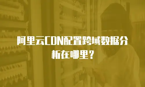 阿里云CDN配置跨域数据分析在哪里？