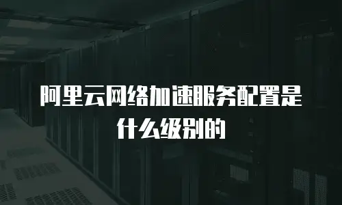阿里云网络加速服务配置是什么级别的