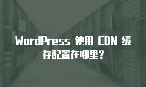 WordPress 使用 CDN 缓存配置在哪里？