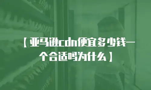 【亚马逊cdn便宜多少钱一个合适吗为什么】