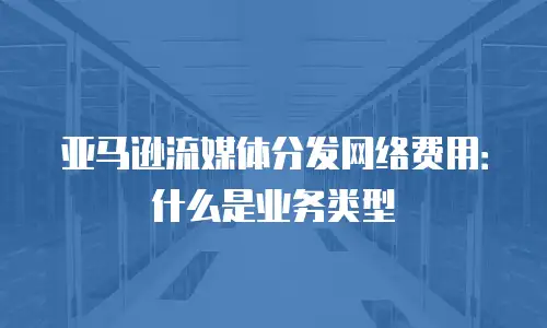 亚马逊流媒体分发网络费用：什么是业务类型