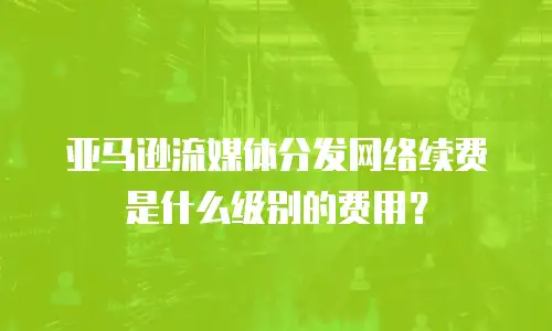 亚马逊流媒体分发网络续费是什么级别的费用？
