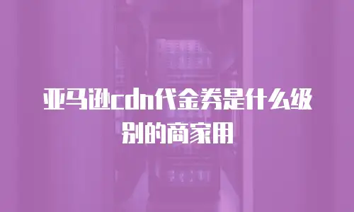 亚马逊cdn代金券是什么级别的商家用