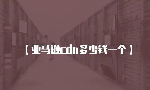 【亚马逊cdn多少钱一个】