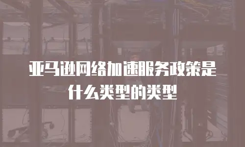 亚马逊网络加速服务政策是什么类型的类型