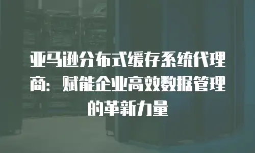 亚马逊分布式缓存系统代理商：赋能企业高效数据管理的革新力量