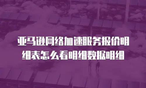 亚马逊网络加速服务报价明细表怎么看明细数据明细