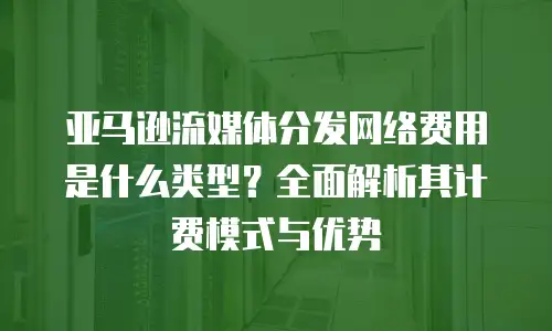 亚马逊流媒体分发网络费用是什么类型？全面解析其计费模式与优势