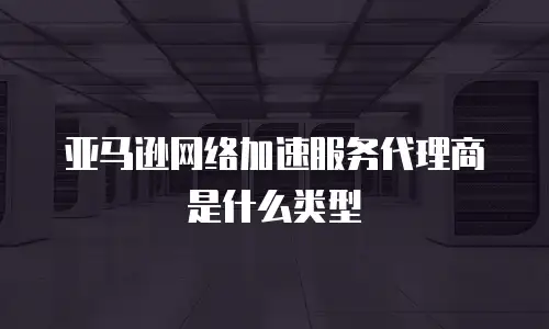 亚马逊网络加速服务代理商是什么类型