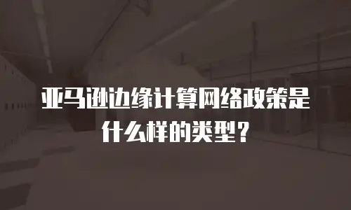 亚马逊边缘计算网络政策是什么样的类型？