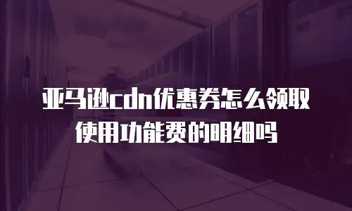 亚马逊cdn优惠券怎么领取使用功能费的明细吗
