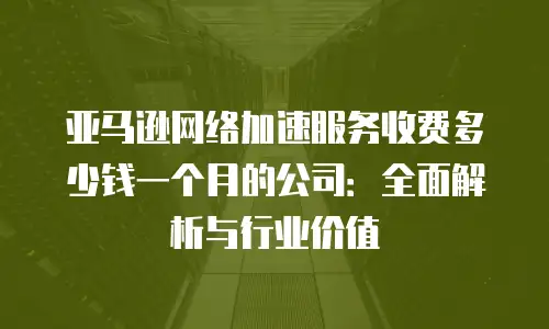 亚马逊网络加速服务收费多少钱一个月的公司：全面解析与行业价值