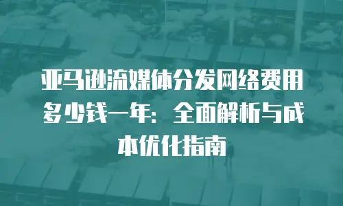 亚马逊流媒体分发网络费用多少钱一年：全面解析与成本优化指南