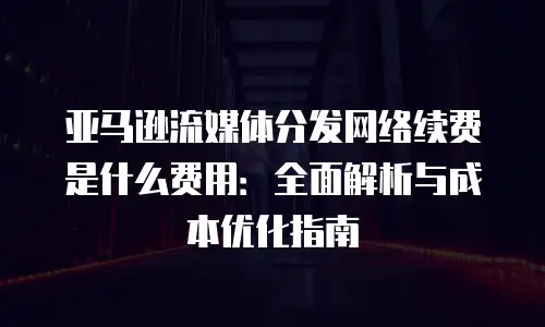 亚马逊流媒体分发网络续费是什么费用：全面解析与成本优化指南