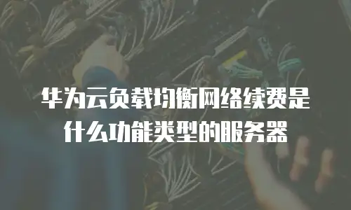 华为云负载均衡网络续费是什么功能类型的服务器