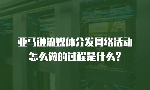 亚马逊流媒体分发网络活动怎么做的过程是什么？