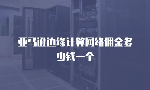 亚马逊边缘计算网络佣金多少钱一个