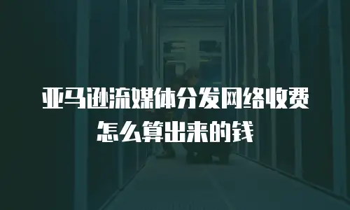 亚马逊流媒体分发网络收费怎么算出来的钱