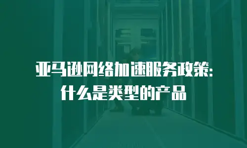 亚马逊网络加速服务政策：什么是类型的产品