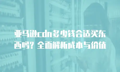 亚马逊cdn多少钱合适买东西吗？全面解析成本与价值