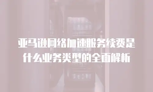 亚马逊网络加速服务续费是什么业务类型的全面解析