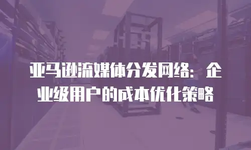 亚马逊流媒体分发网络：企业级用户的成本优化策略