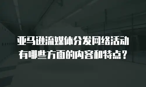 亚马逊流媒体分发网络活动有哪些方面的内容和特点？