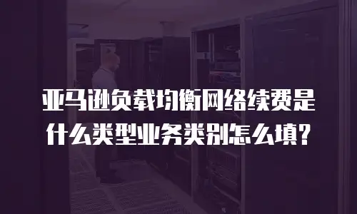 亚马逊负载均衡网络续费是什么类型业务类别怎么填？