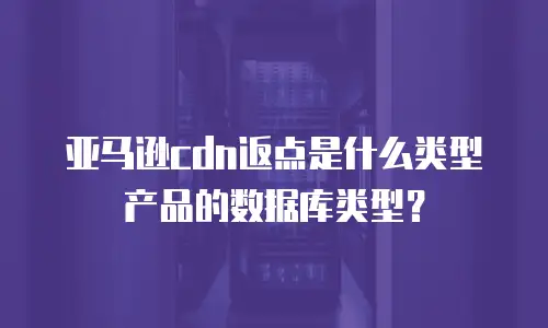 亚马逊cdn返点是什么类型产品的数据库类型？