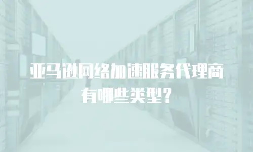 亚马逊网络加速服务代理商有哪些类型？