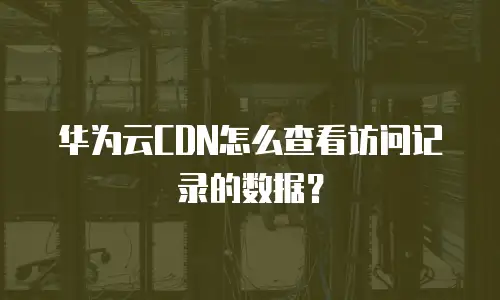 华为云CDN怎么查看访问记录的数据？