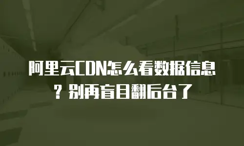 阿里云CDN怎么看数据信息？别再盲目翻后台了