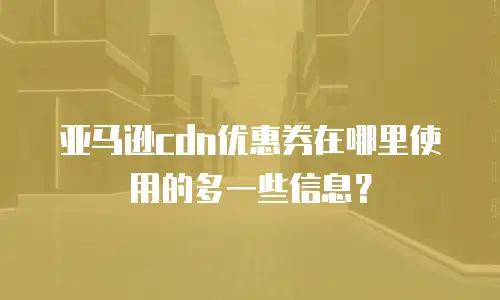 亚马逊cdn优惠券在哪里使用的多一些信息？
