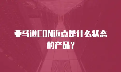 亚马逊CDN返点是什么状态的产品？